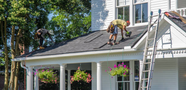 Best Roof Gutter Cleaning  in Oli, PA